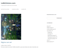 Tablet Screenshot of lebacaleon.com